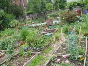 Gardenbeds