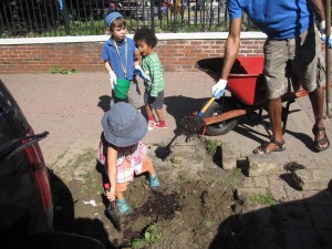 tree well planting 010