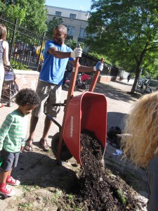 tree well planting 017