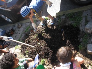 tree well planting 019