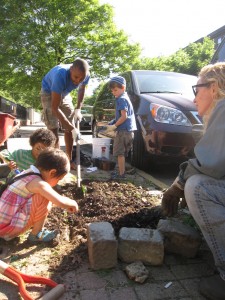 tree well planting 021