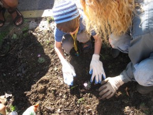 tree well planting 027