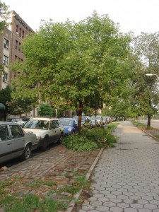 DSC02398