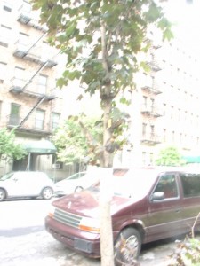 DSC02401
