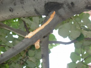 DSC02405