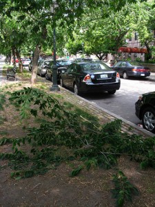 eastern_pkwy1