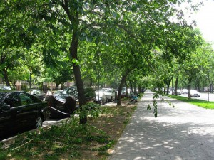 eastern_pkwy3