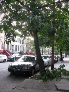 park_pl
