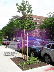 parkplace_classon2